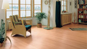 Паркет: Европейский, Грецкий Орех, Дуб , Бук, Ясень, Черешня, Берез