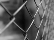 Сетка рабица от производителя Херсон