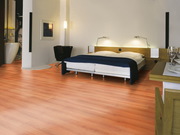 Горячее предложение от